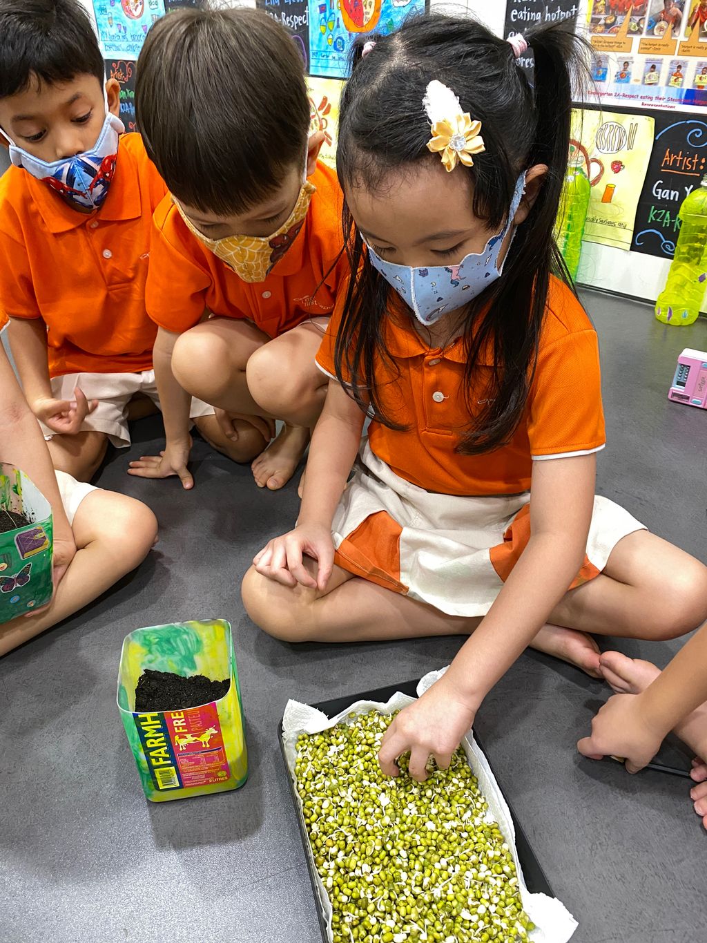 🌱Planting 🥗Edible Plants/Vegetables using our Recycled Pots and Planters!🌿 — photo 18