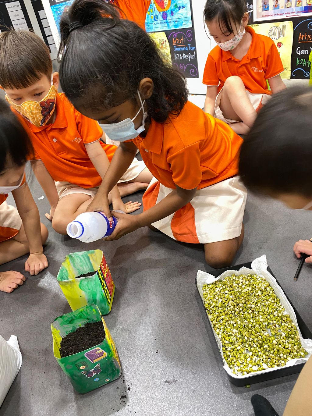🌱Planting 🥗Edible Plants/Vegetables using our Recycled Pots and Planters!🌿 — photo 19