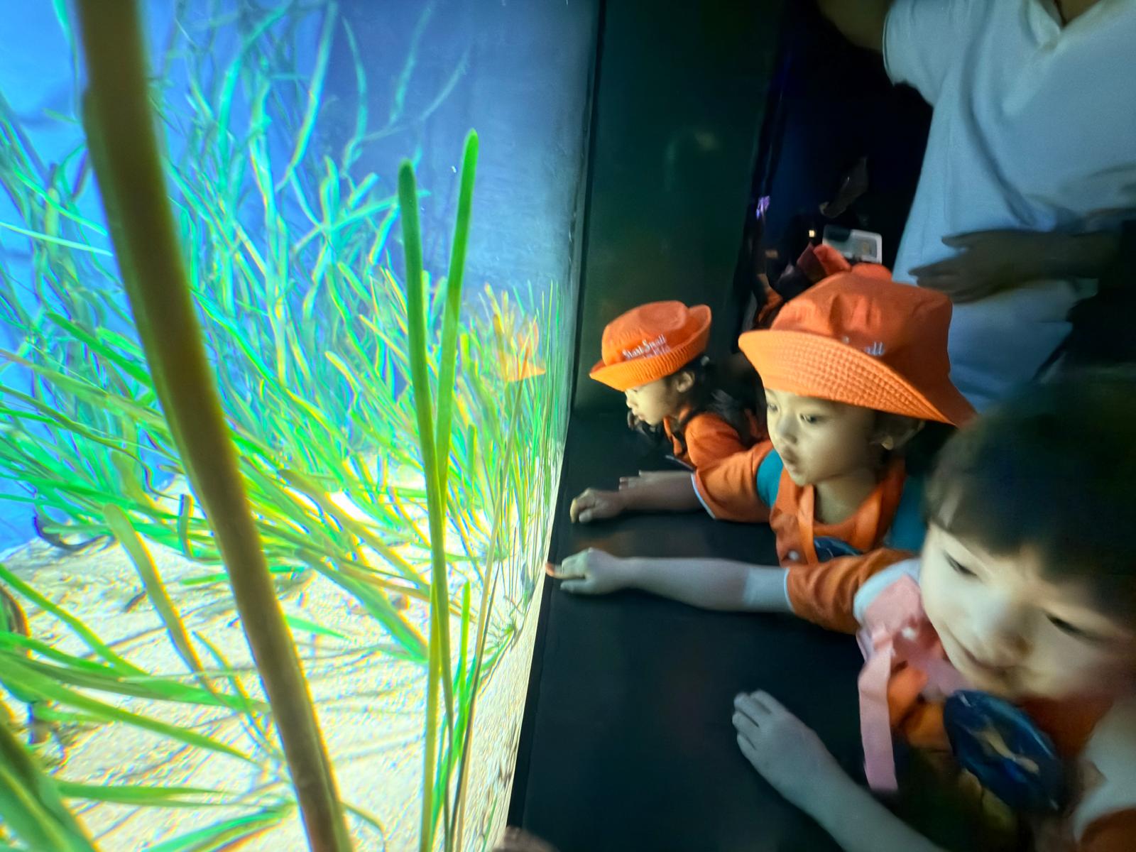 Learning Journey to Singapore Oceanarium — photo 2