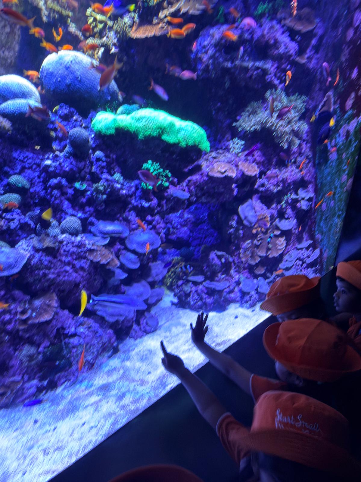 Learning Journey to Singapore Oceanarium — photo 6