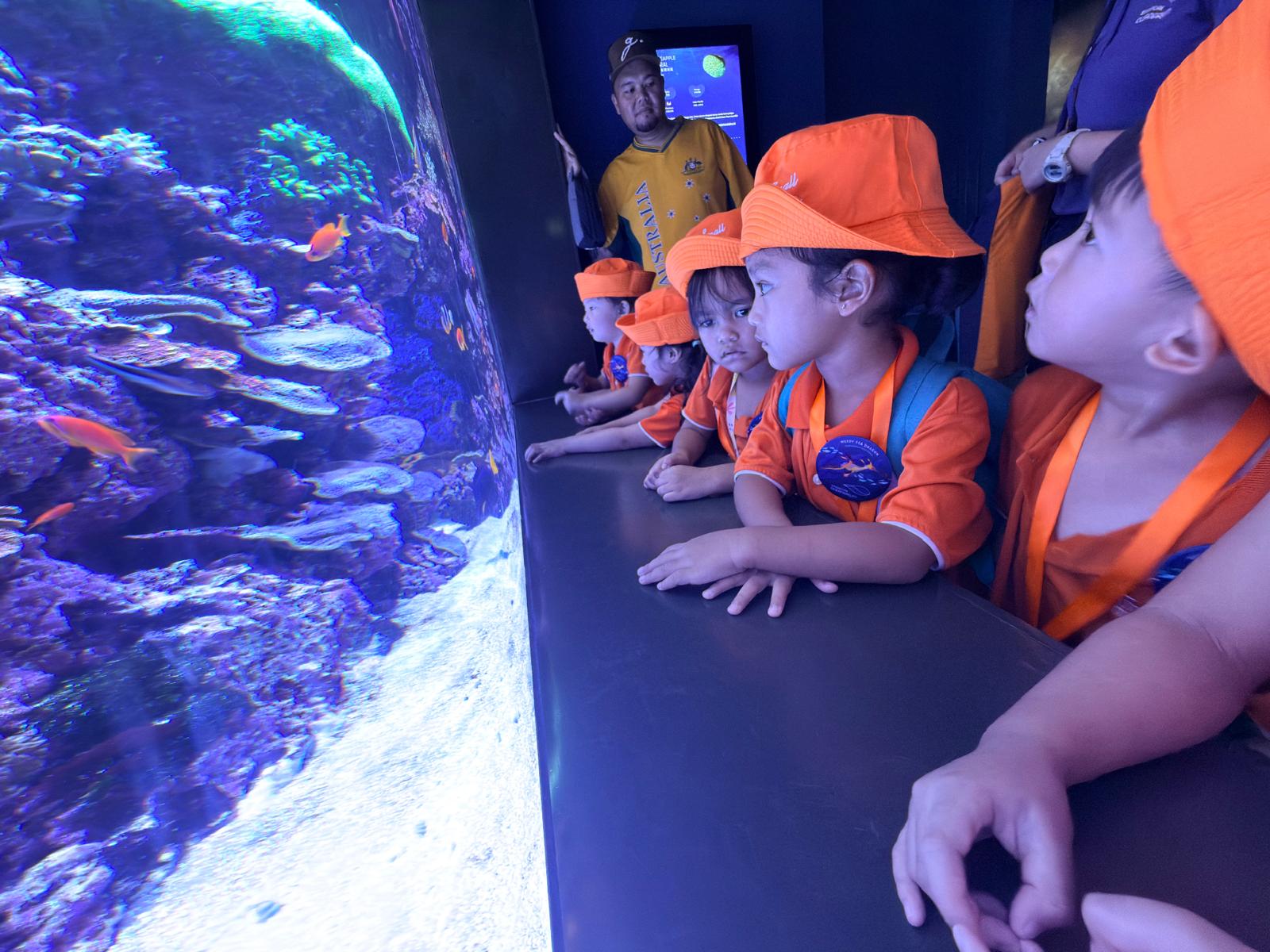 Learning Journey to Singapore Oceanarium — photo 8