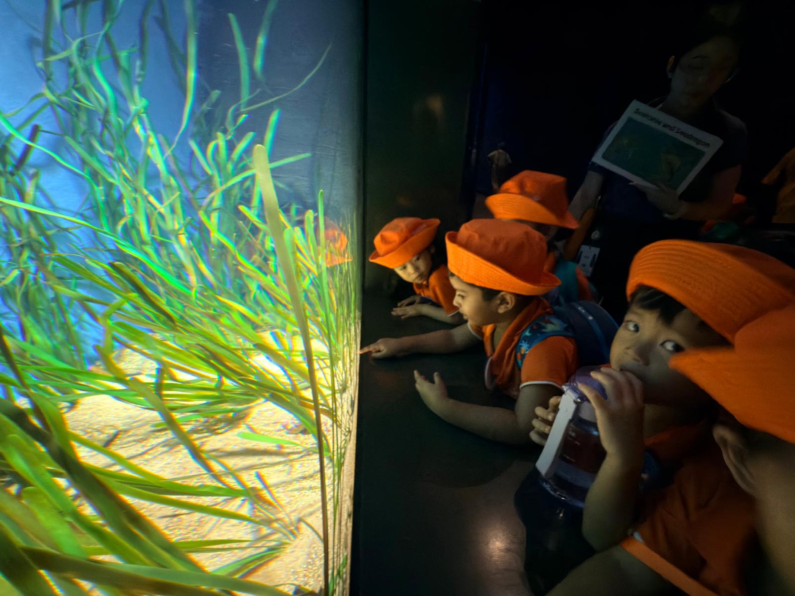 Learning Journey to Singapore Oceanarium — photo 10