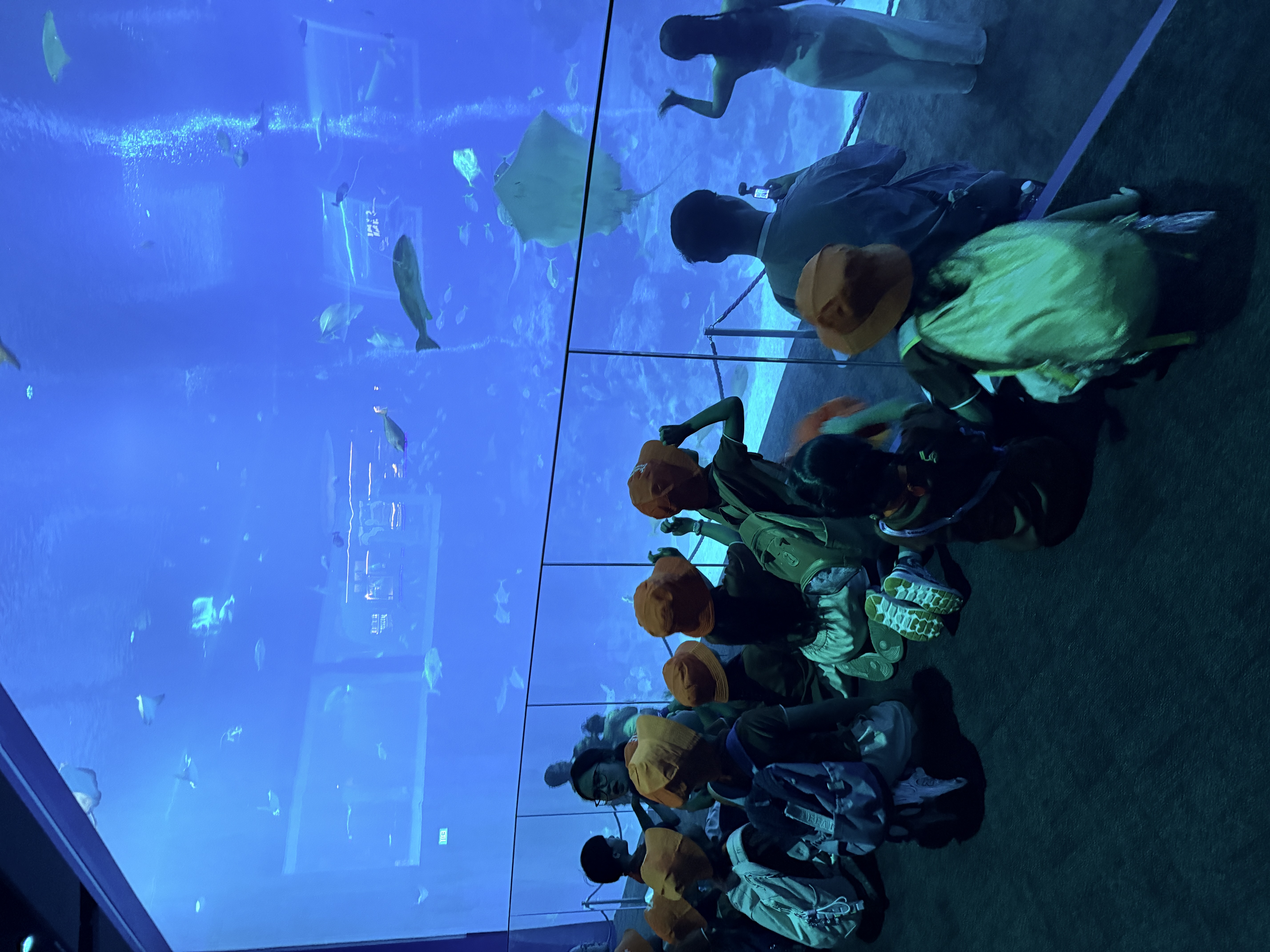 Learning Journey to Singapore Oceanarium — photo 16