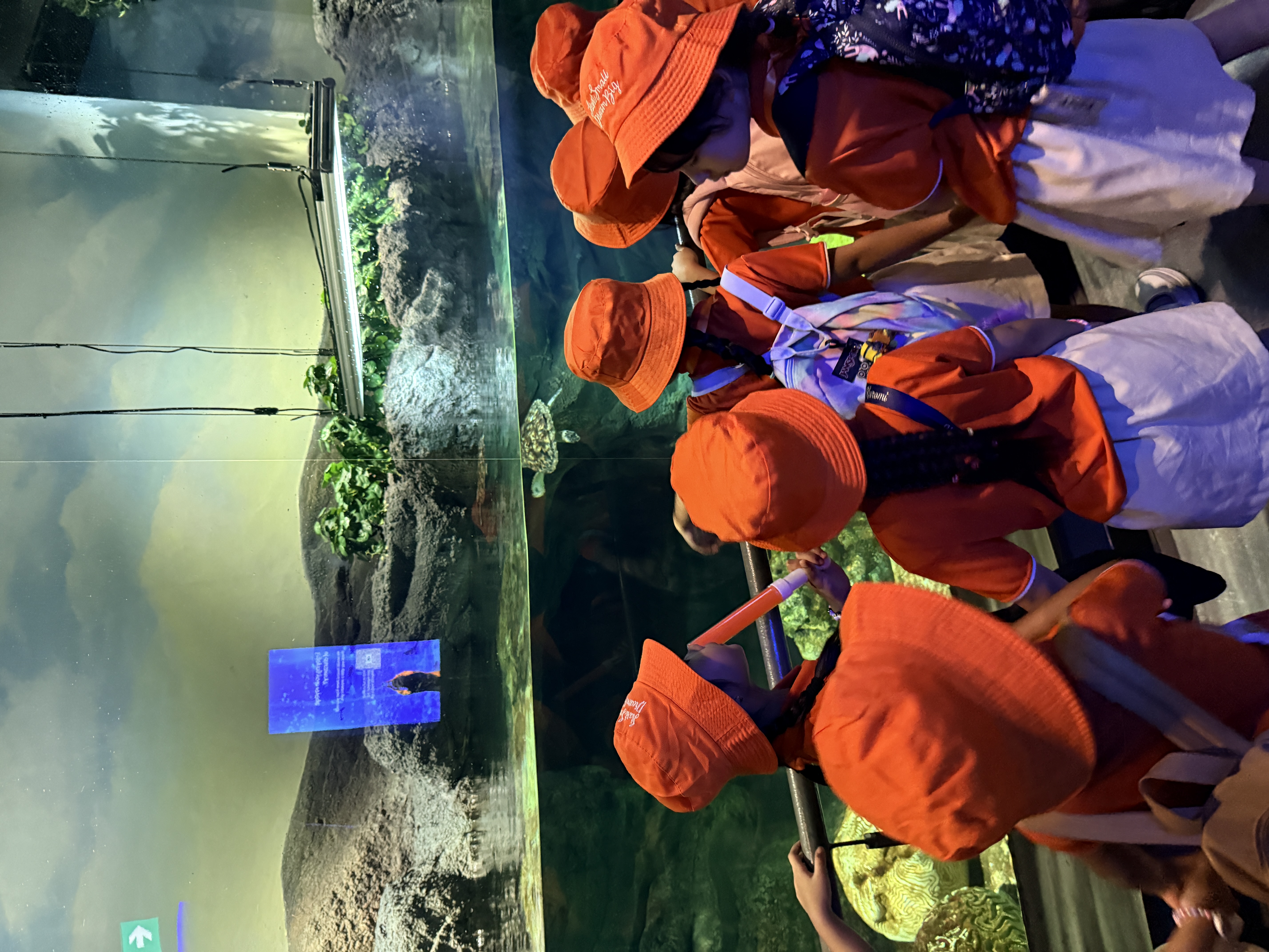 Learning Journey to Singapore Oceanarium — photo 18