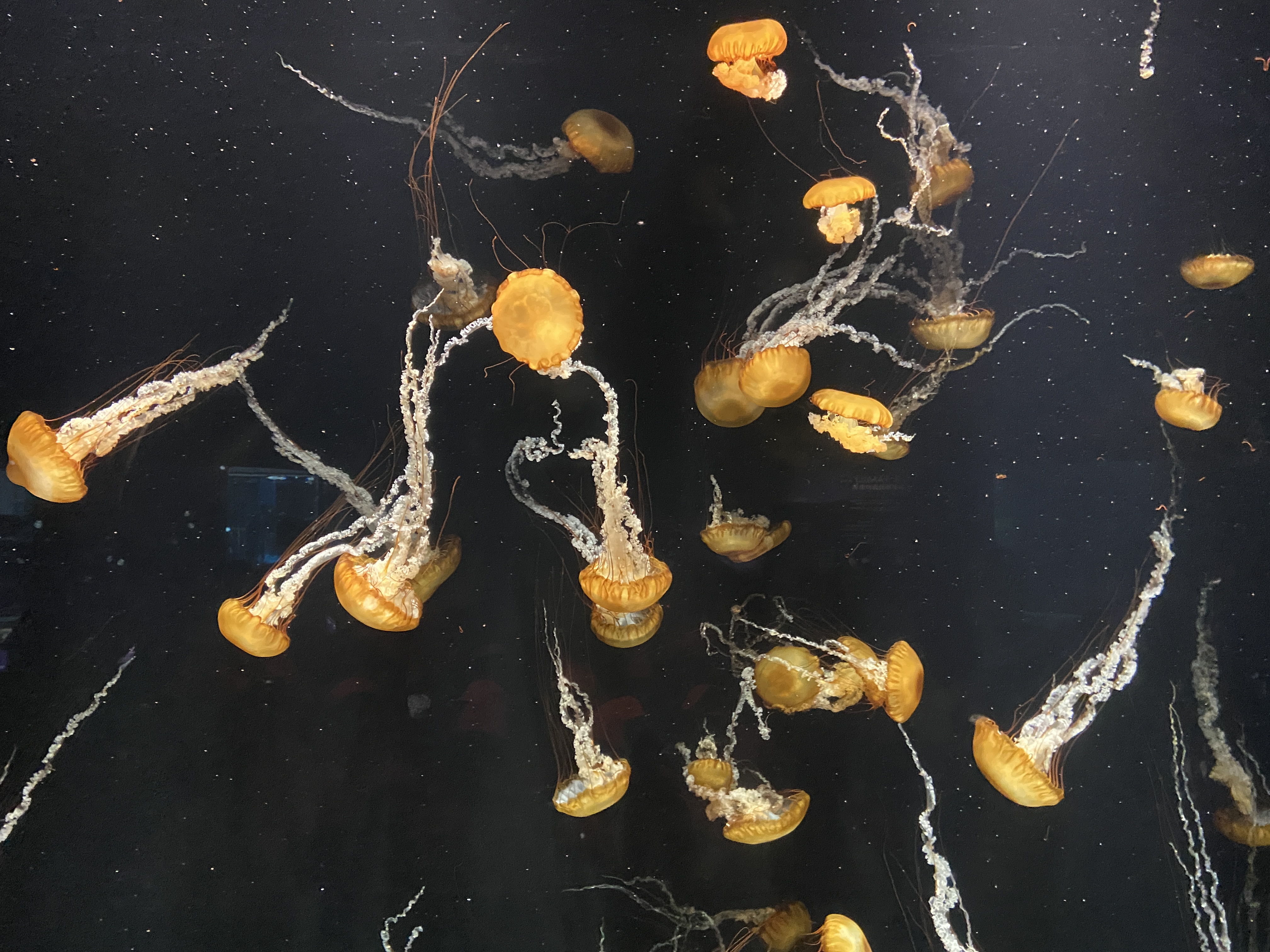 Learning Journey to Singapore Oceanarium — photo 22