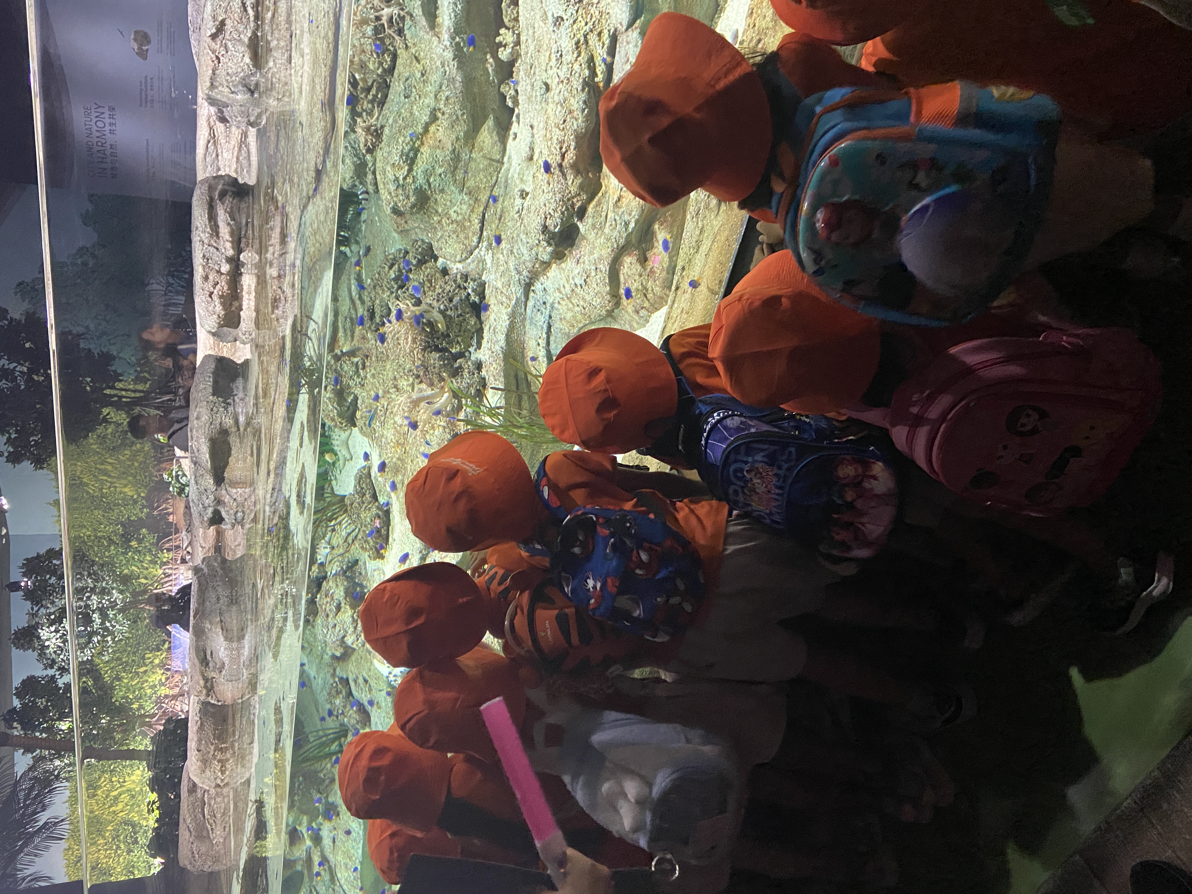Learning Journey to Singapore Oceanarium — photo 23