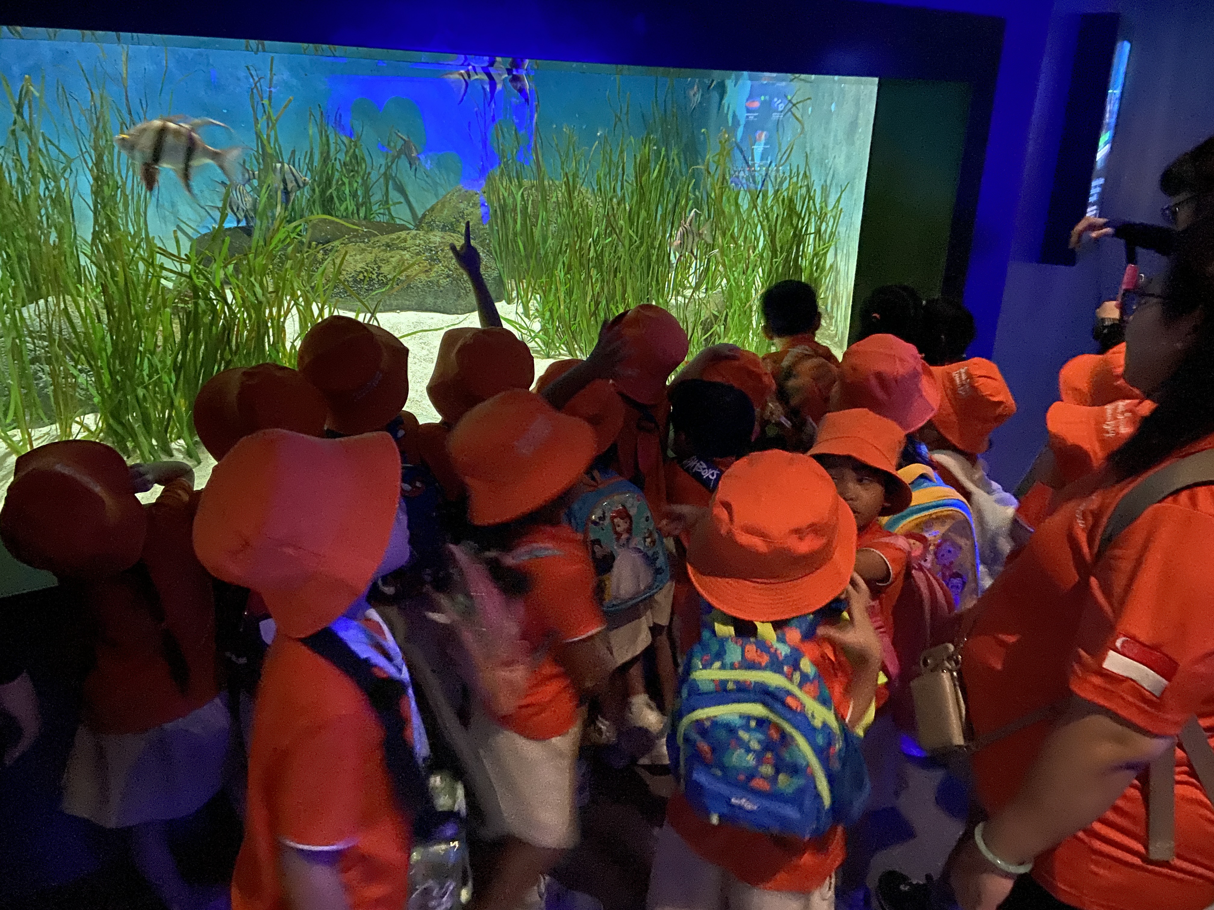 Learning Journey to Singapore Oceanarium — photo 25