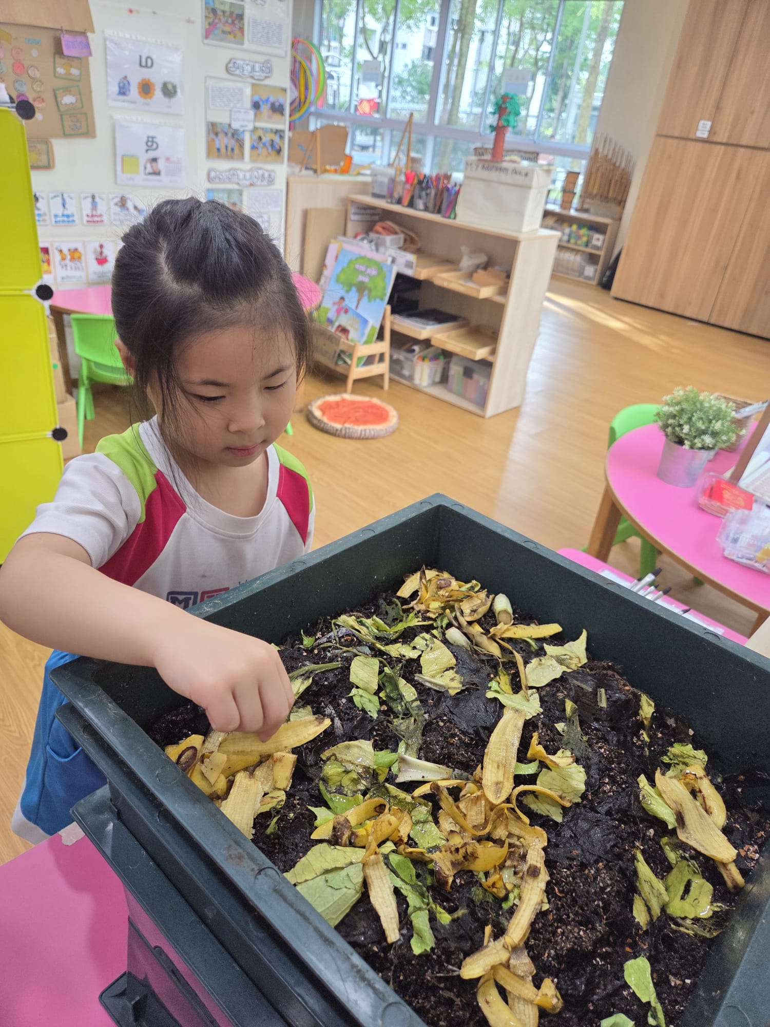 From Kitchen Scraps to Garden Magic: Our Classroom Worm Hotel​ (10 March 2026 onwards to present)​ — photo 2