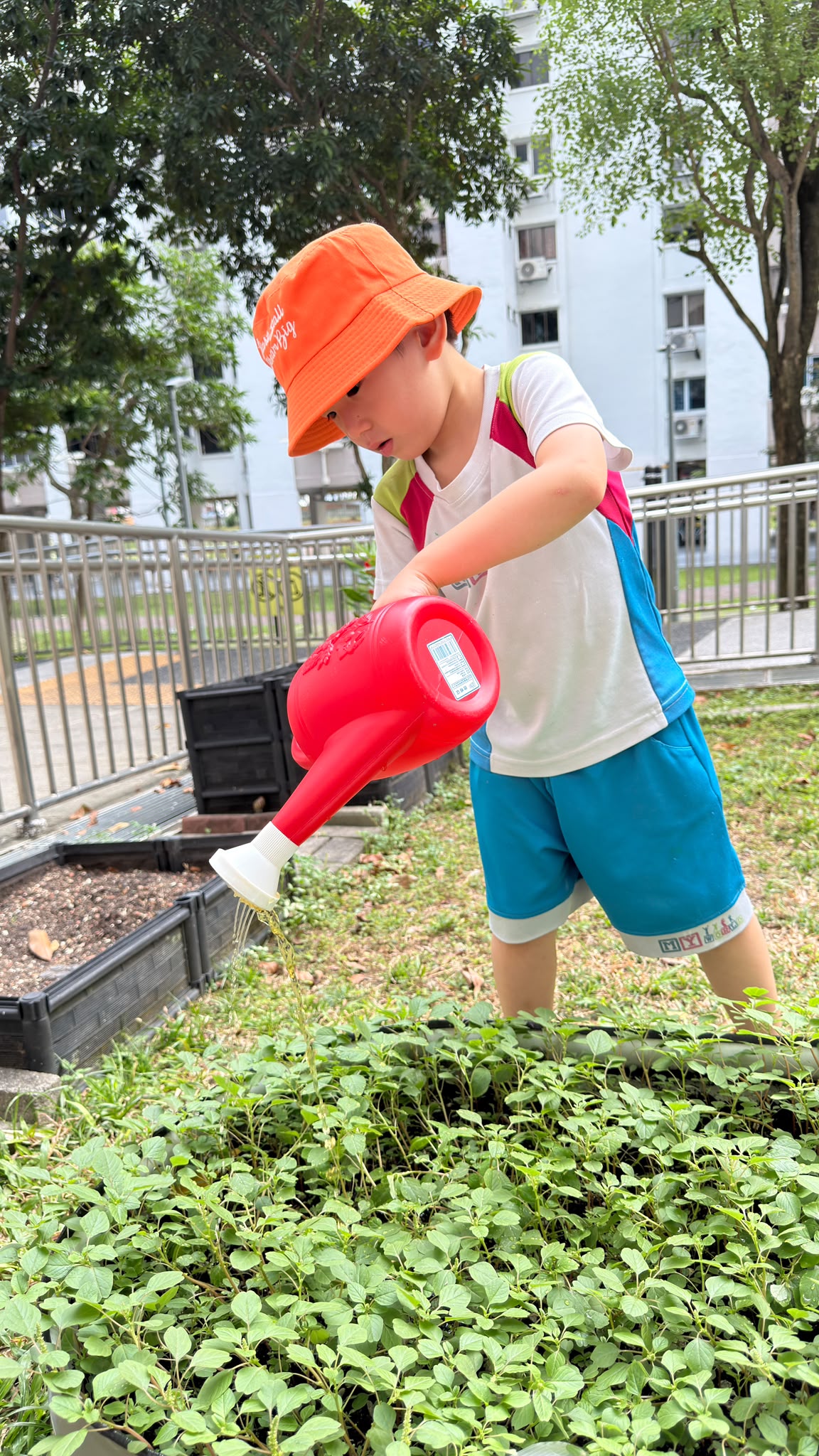 From Kitchen Scraps to Garden Magic: Our Classroom Worm Hotel​ (10 March 2026 onwards to present)​ — photo 4