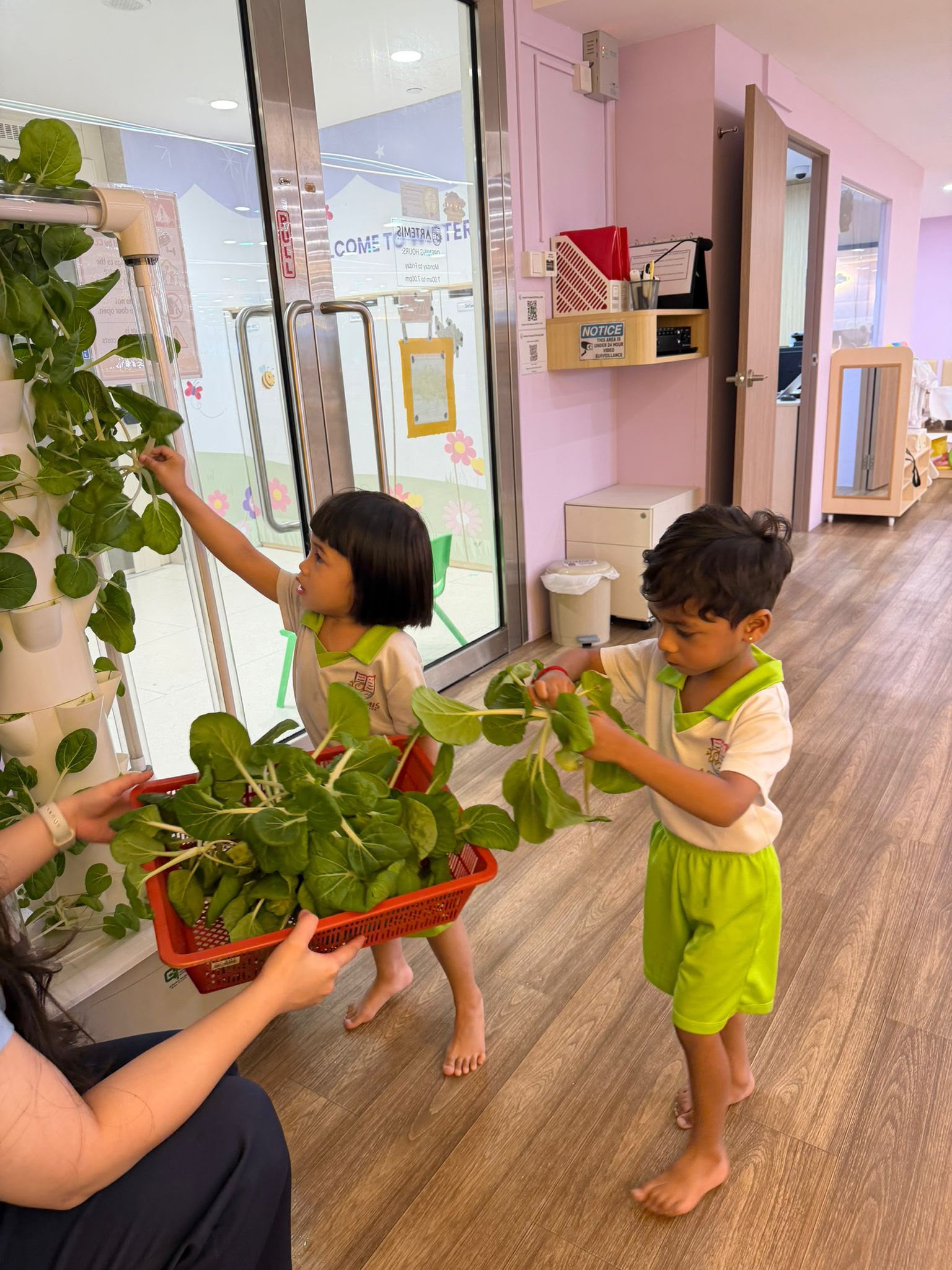 Care Begins with Me: Caring for Environment