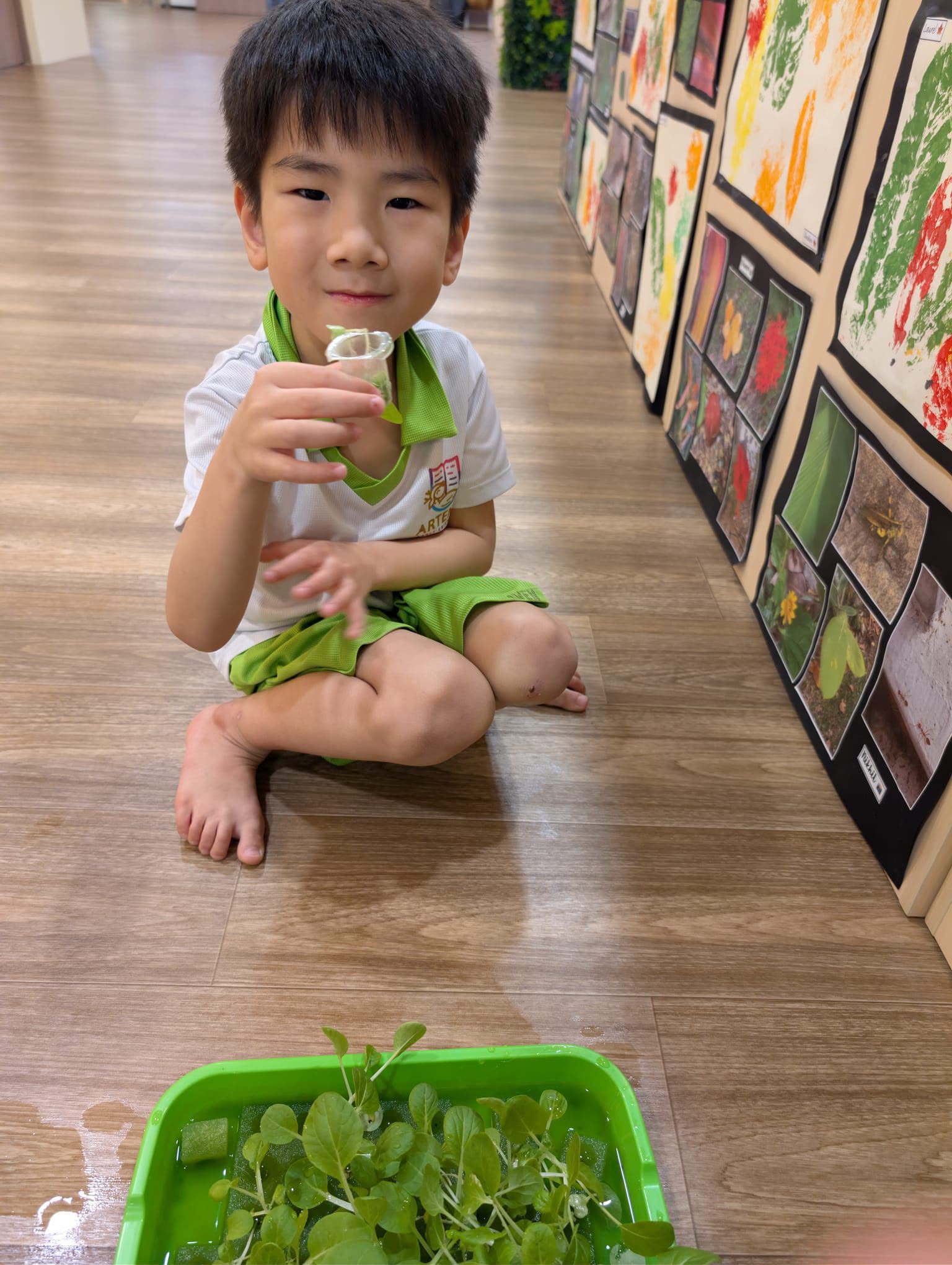 Care Begins with Me: Caring for Environment — photo 8