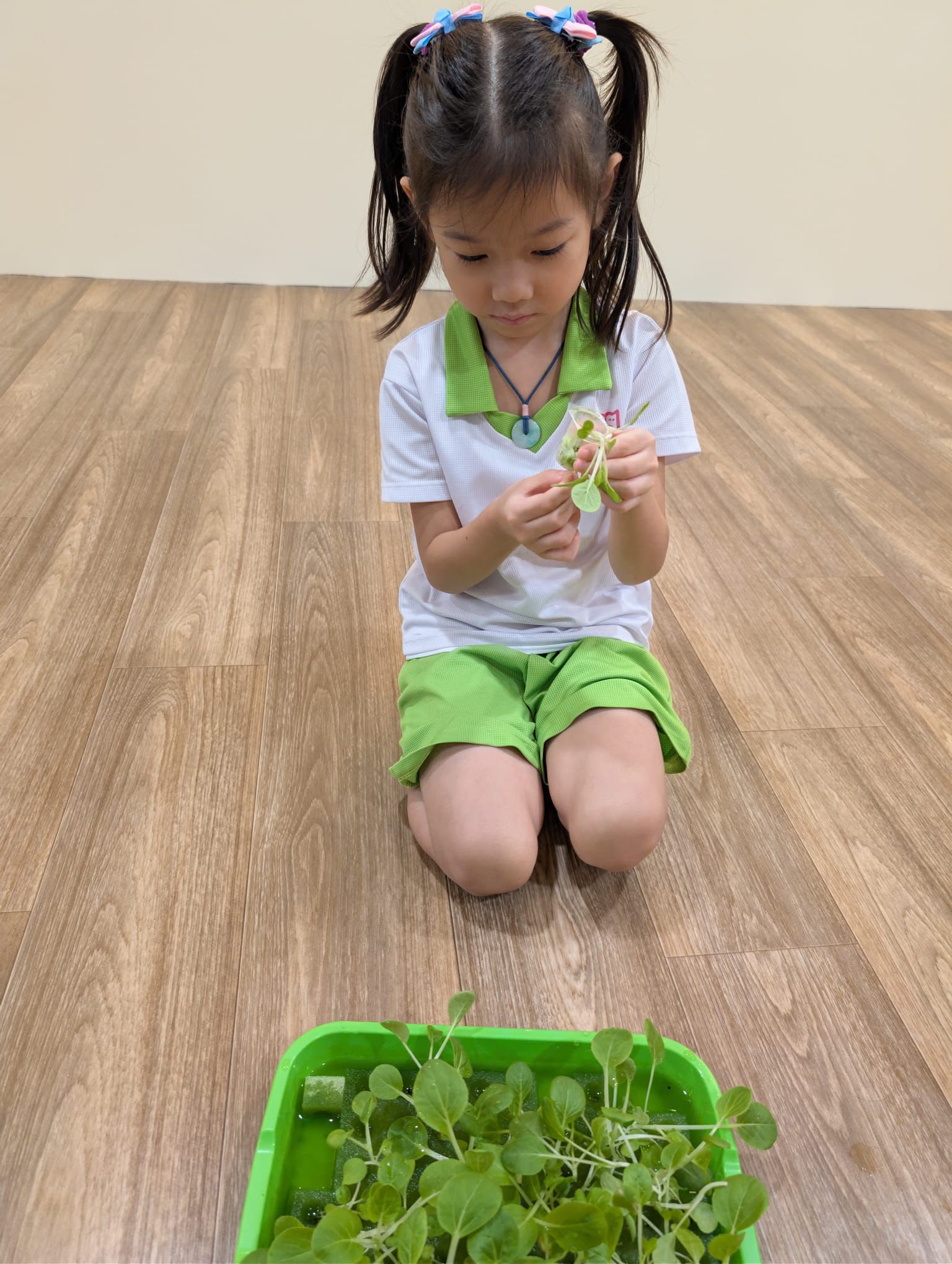 Care Begins with Me: Caring for Environment — photo 9
