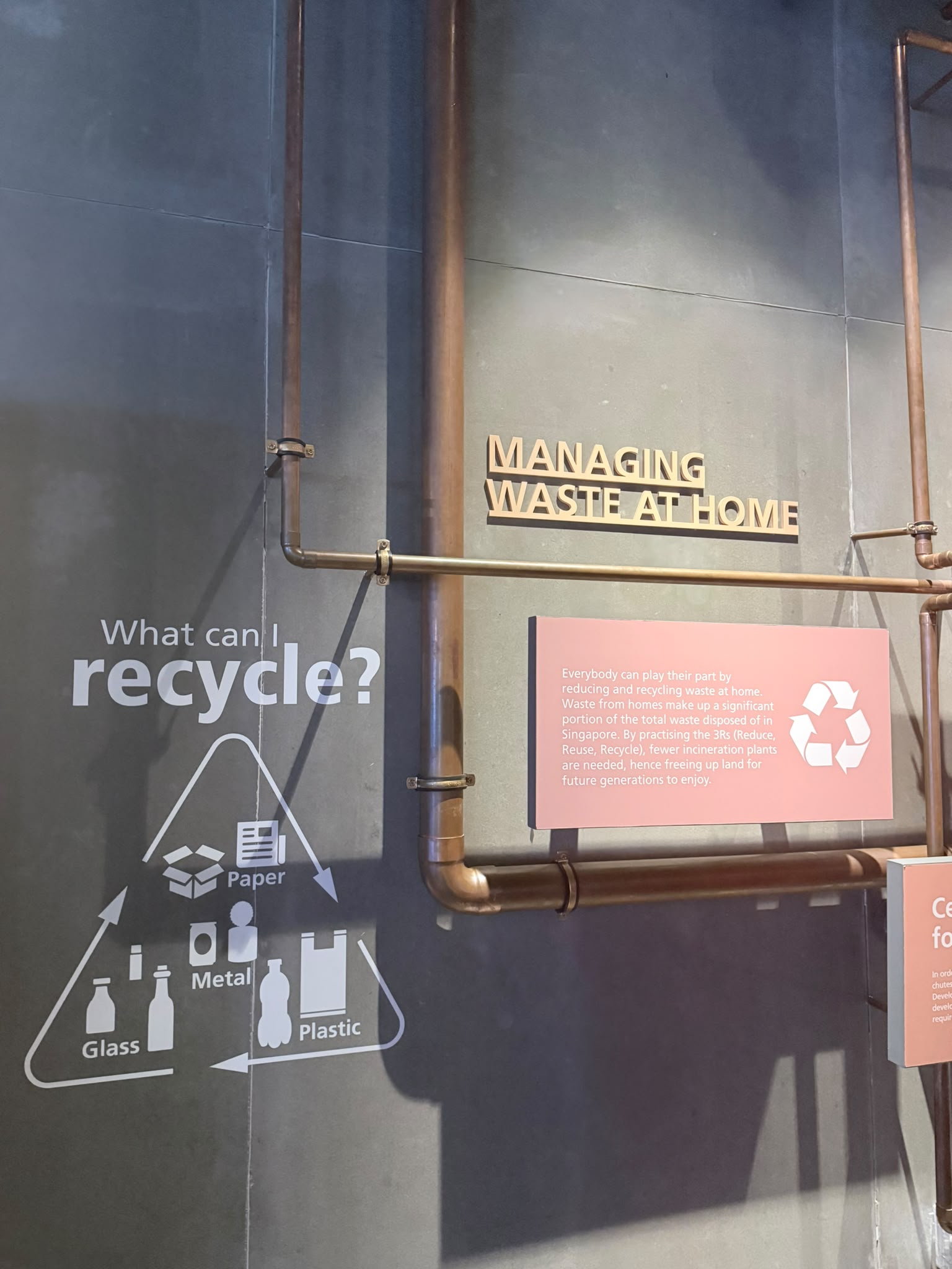 Reduce, Reuse, Recycle: Every Little Action Counts — photo 14