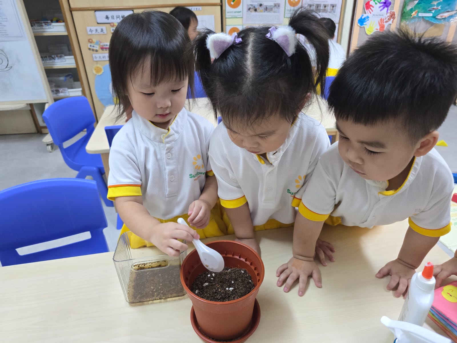 Spinach Planting — photo 2
