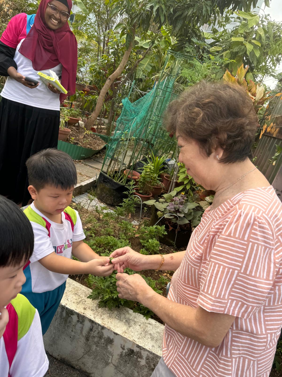 Cultivating Connections: From Nature to Community — photo 25