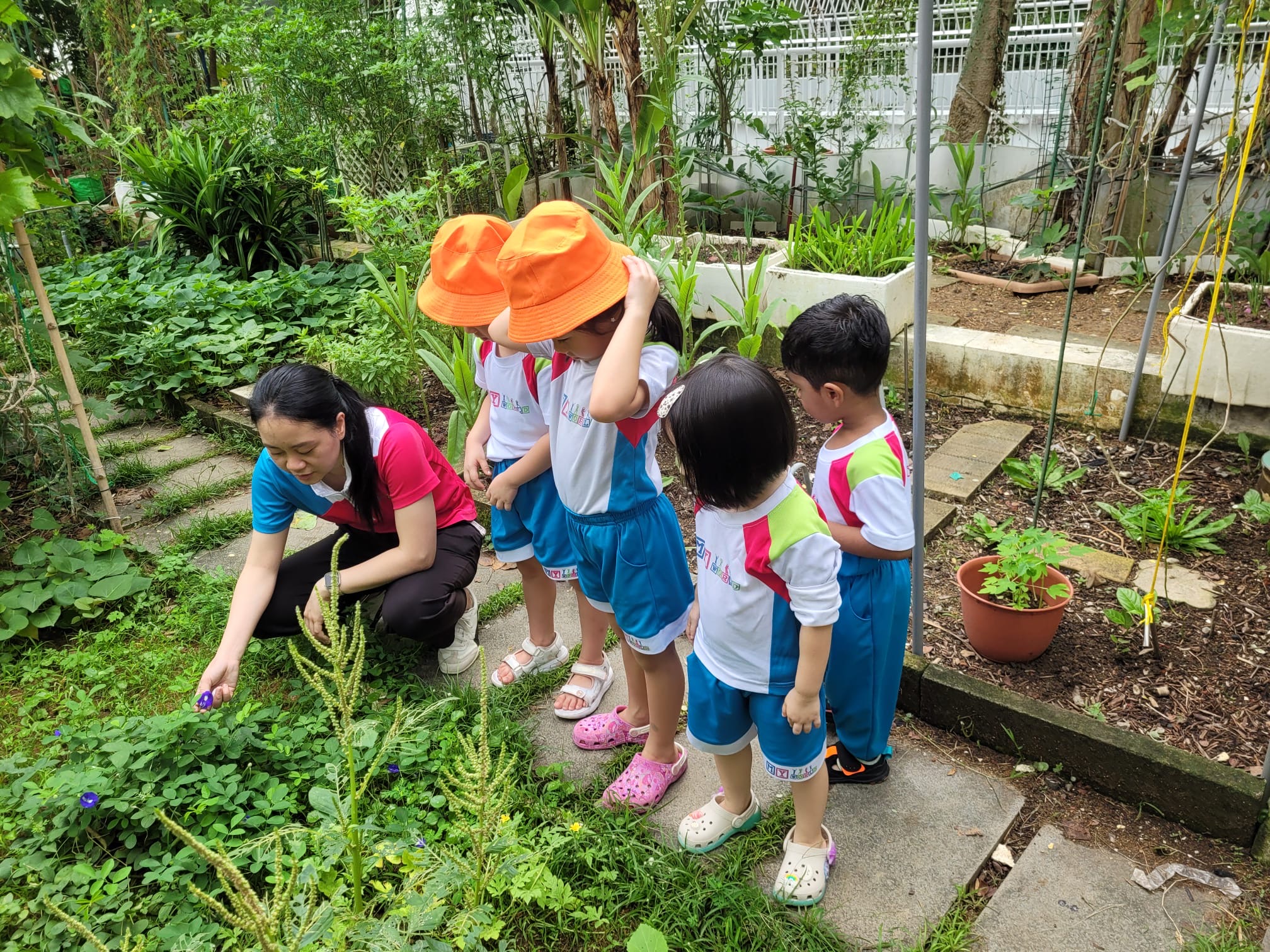 Cultivating Connections: From Nature to Community — photo 28