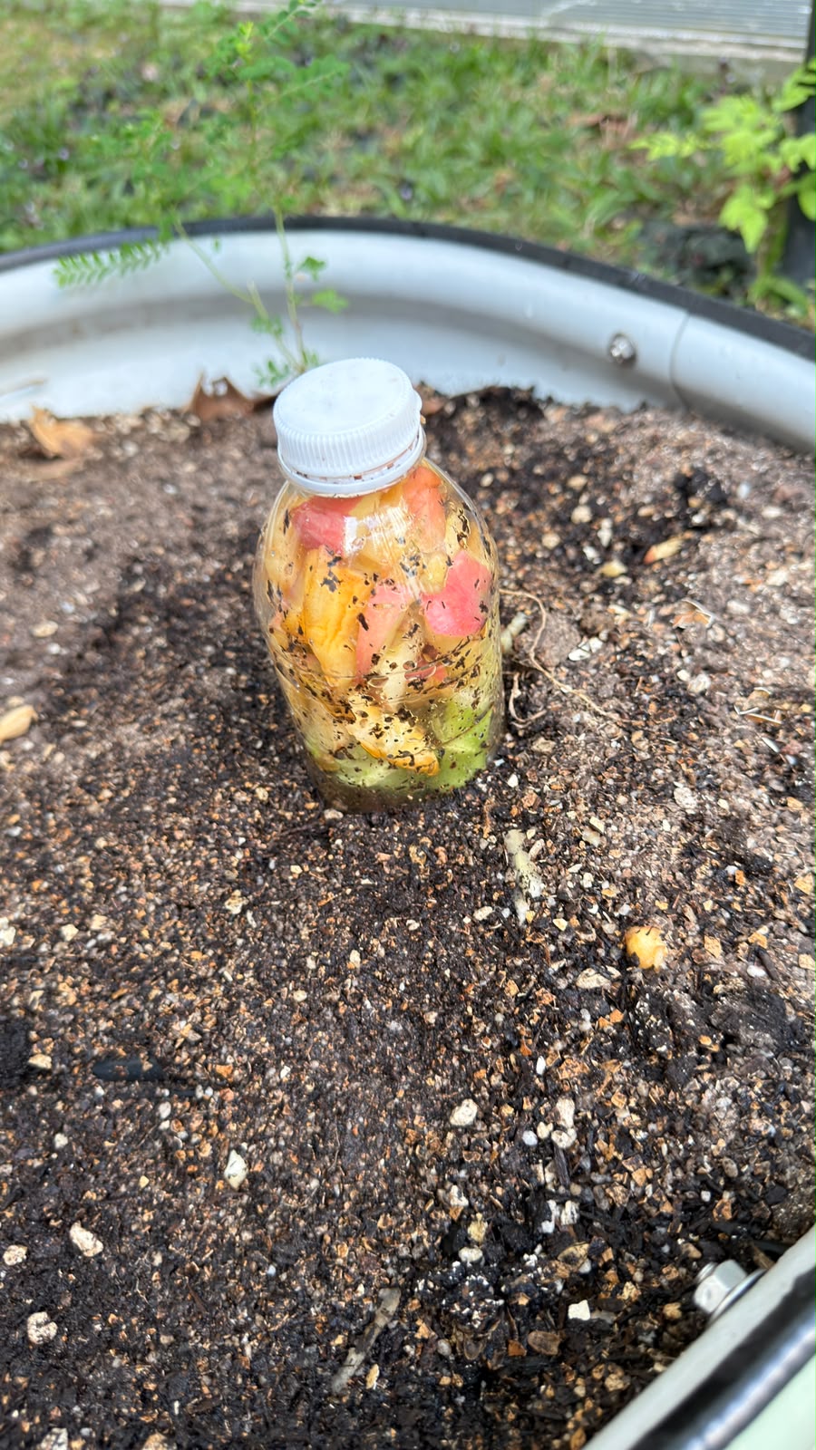 In-Situ Composting: Direct-to-Soil Plant Nutrition (14 July 2026 to present)