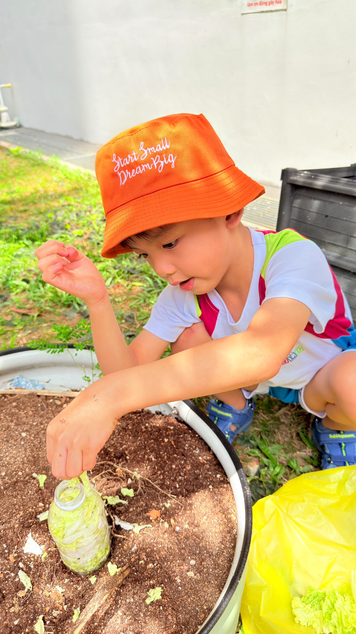 In-Situ Composting: Direct-to-Soil Plant Nutrition (14 July 2026 to present) — photo 3