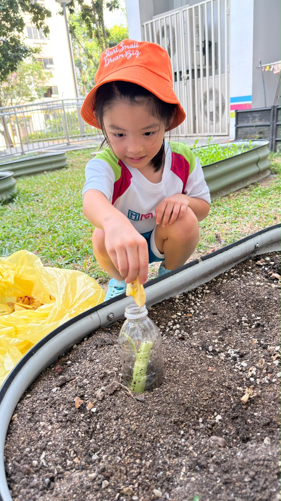 In-Situ Composting: Direct-to-Soil Plant Nutrition (14 July 2026 to present) — photo 4