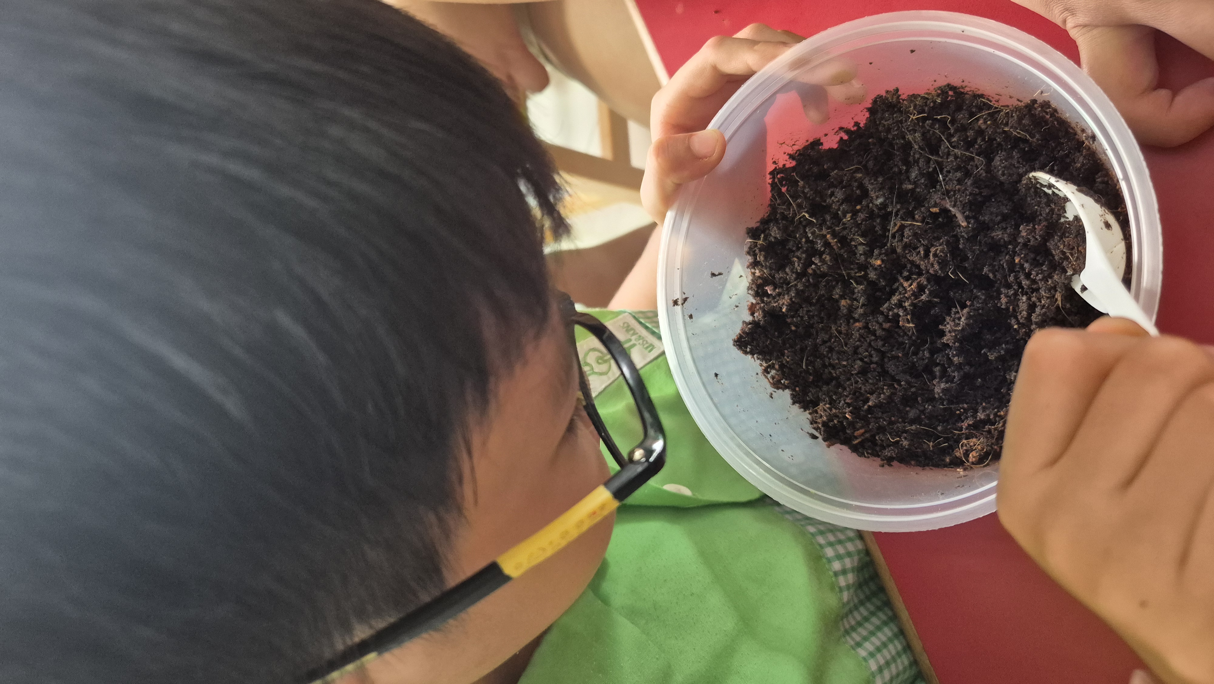 Taste, Explore & Sustain: Growing Little Food Heroes with The Rasa Project — photo 7