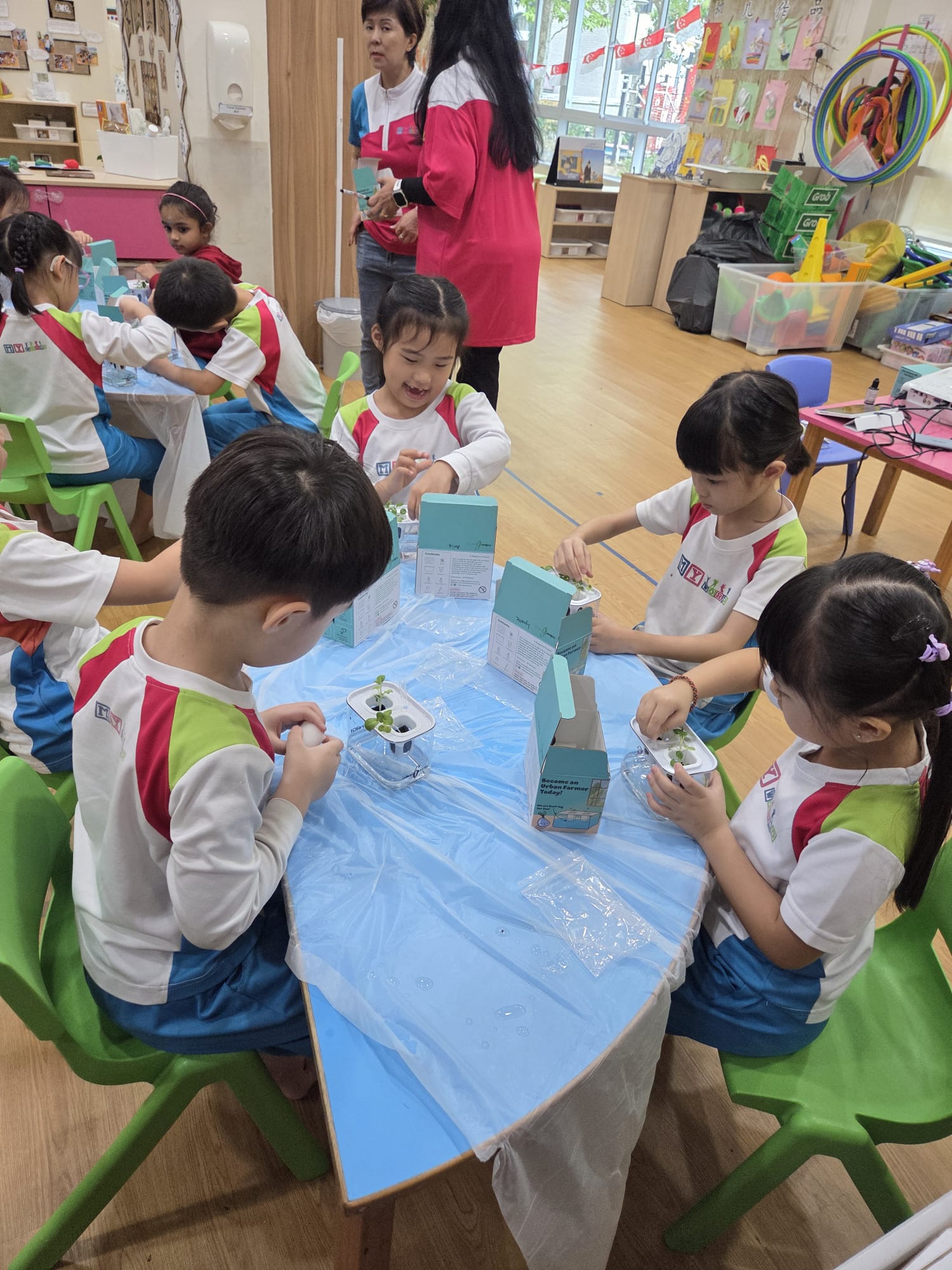 Hydroponics  Planting: K1 & K2 Class (24 August 2026) — photo 4
