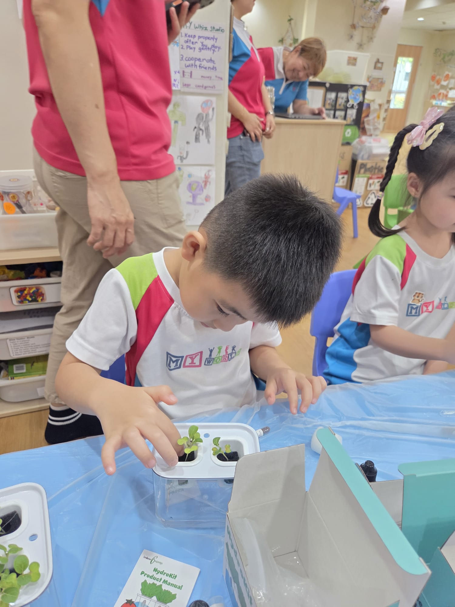 Hydroponics  Planting: K1 & K2 Class (24 August 2026) — photo 5