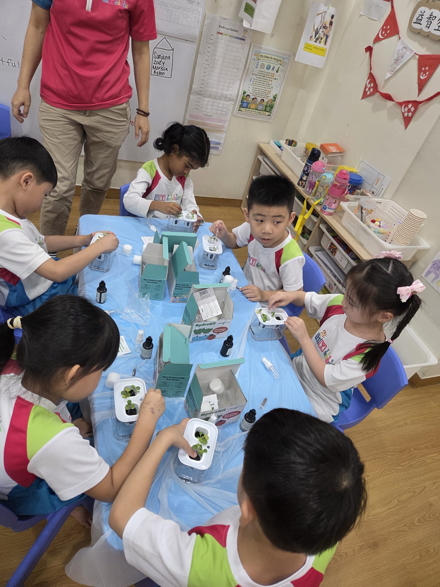 Hydroponics  Planting: K1 & K2 Class (24 August 2026) — photo 6