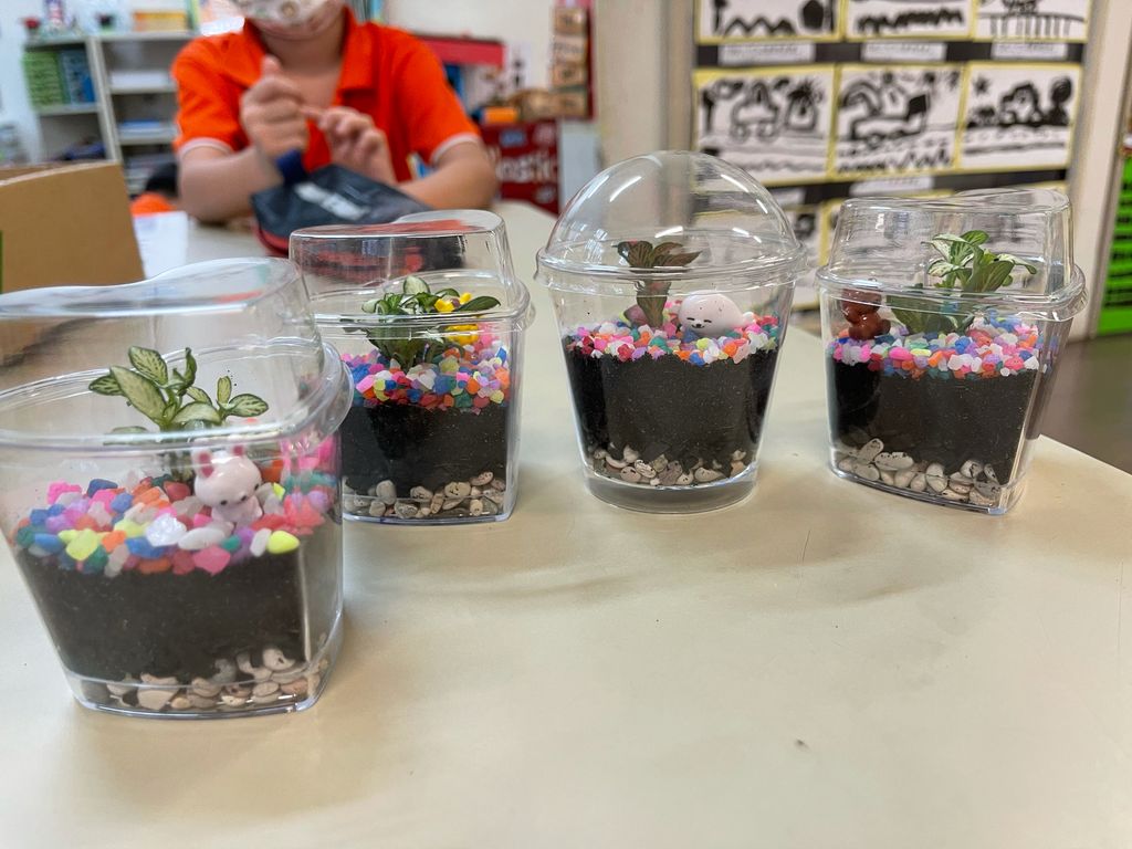 SSDB: Upcycling with Plastic — photo 3