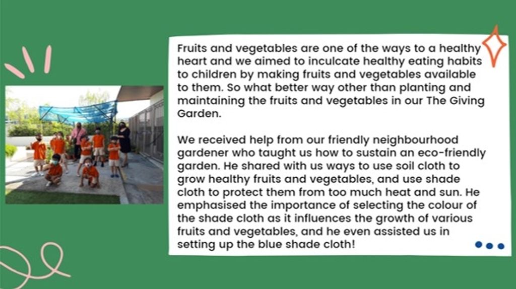 The Giving Garden — photo 2