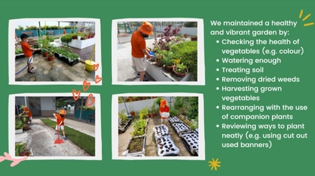 The Giving Garden — photo 4