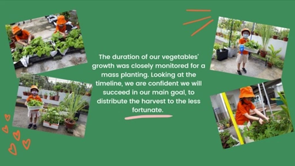 The Giving Garden — photo 5