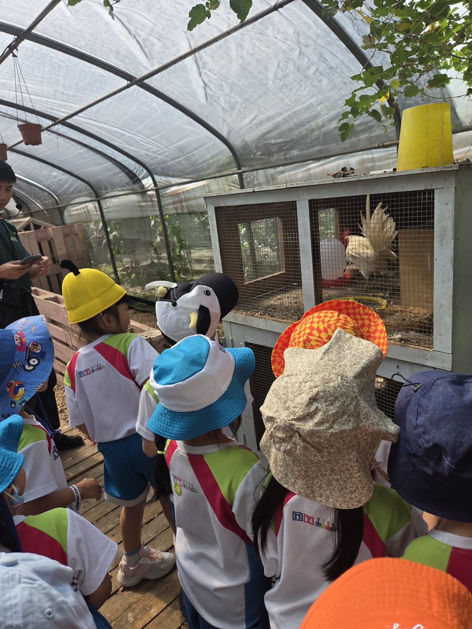 Field Trip to City Sprouts Henderson (10 March 2026) — photo 3