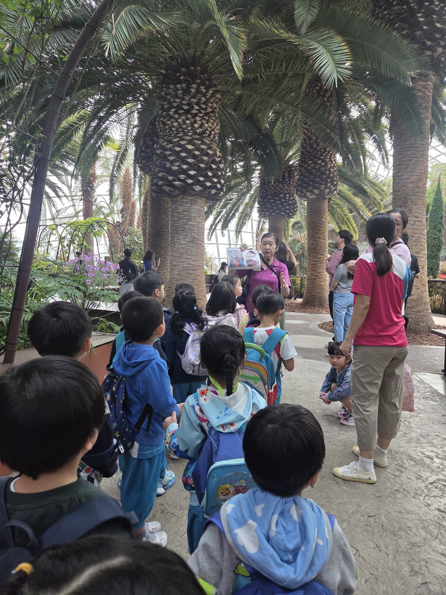 Field Trip to Gardens by the Bay (8 September 2026) — photo 4