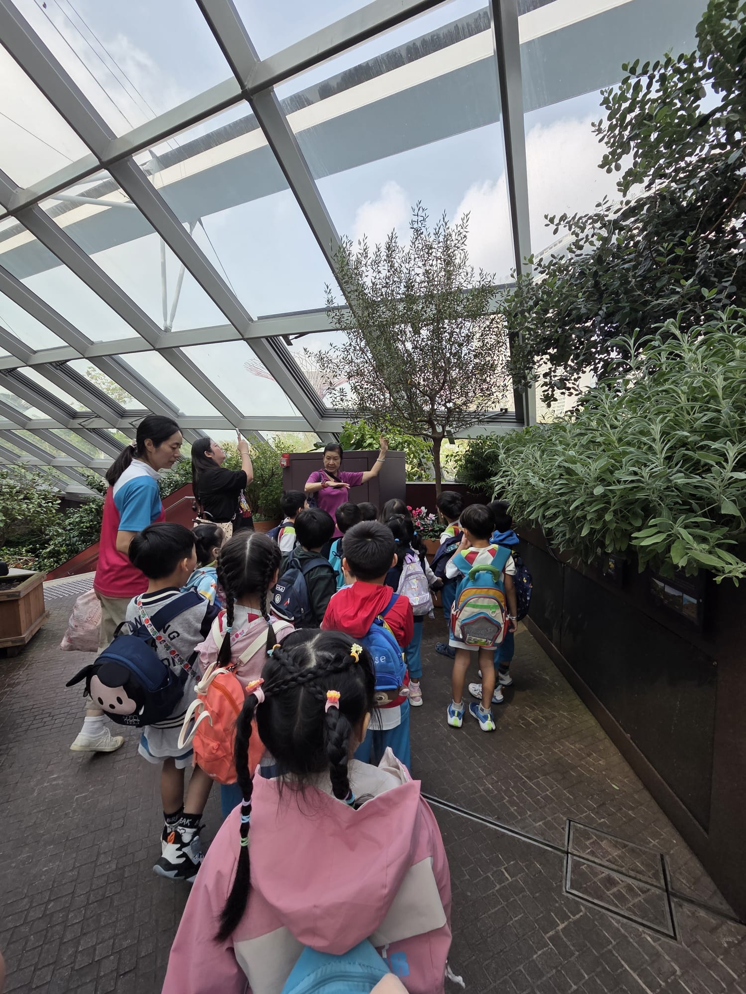 Field Trip to Gardens by the Bay (8 September 2026) — photo 5