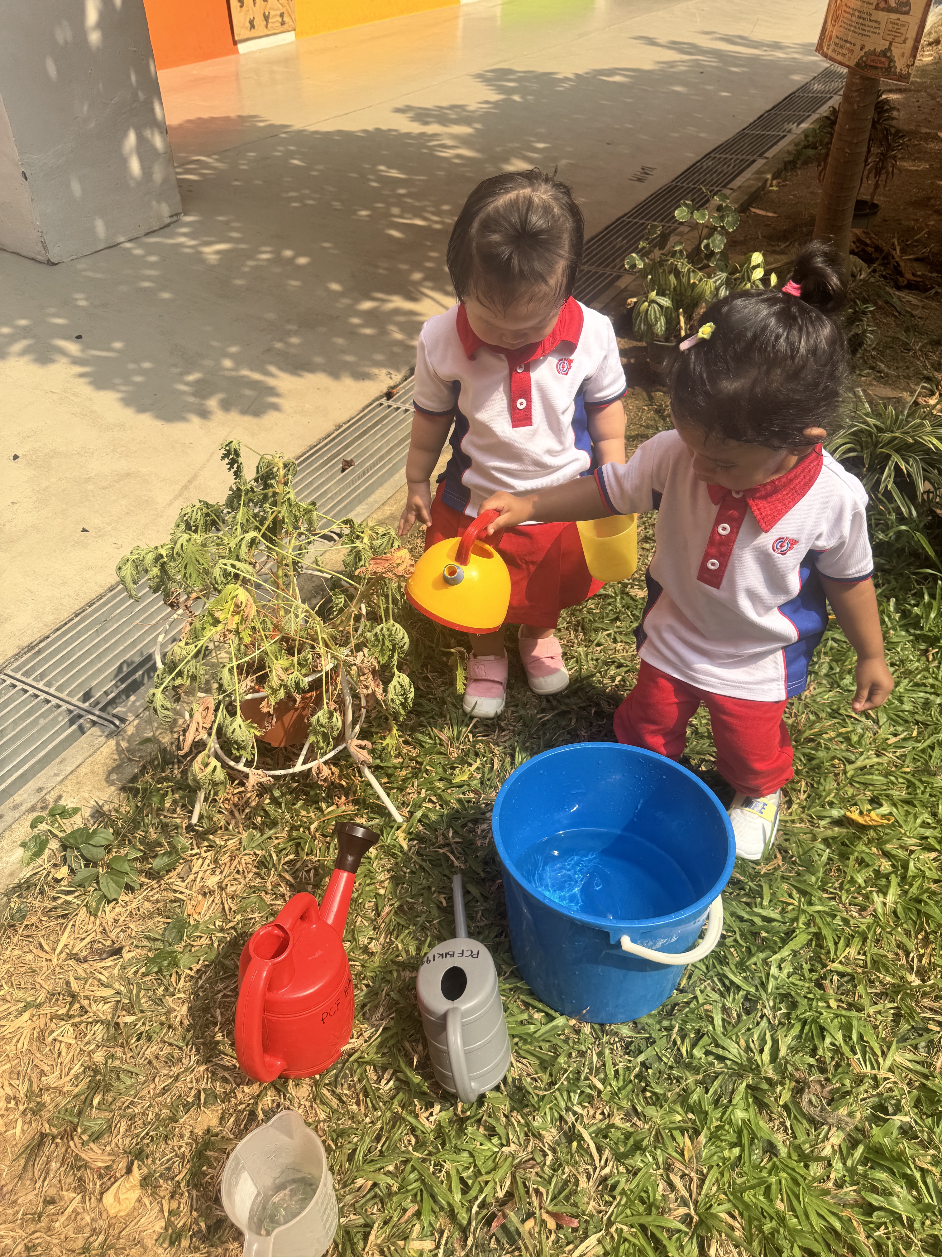 From Little Hands to Green Garden — photo 12