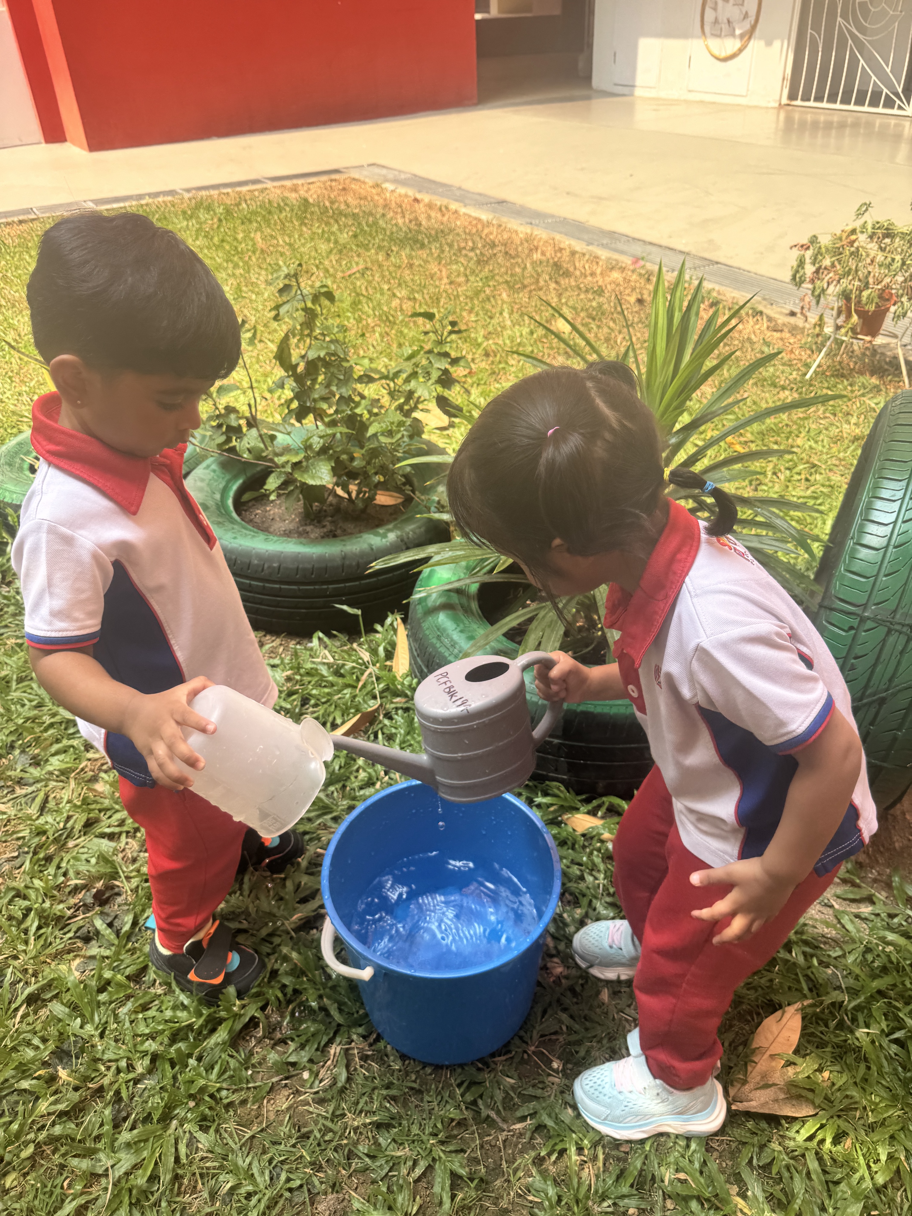 From Little Hands to Green Garden — photo 13