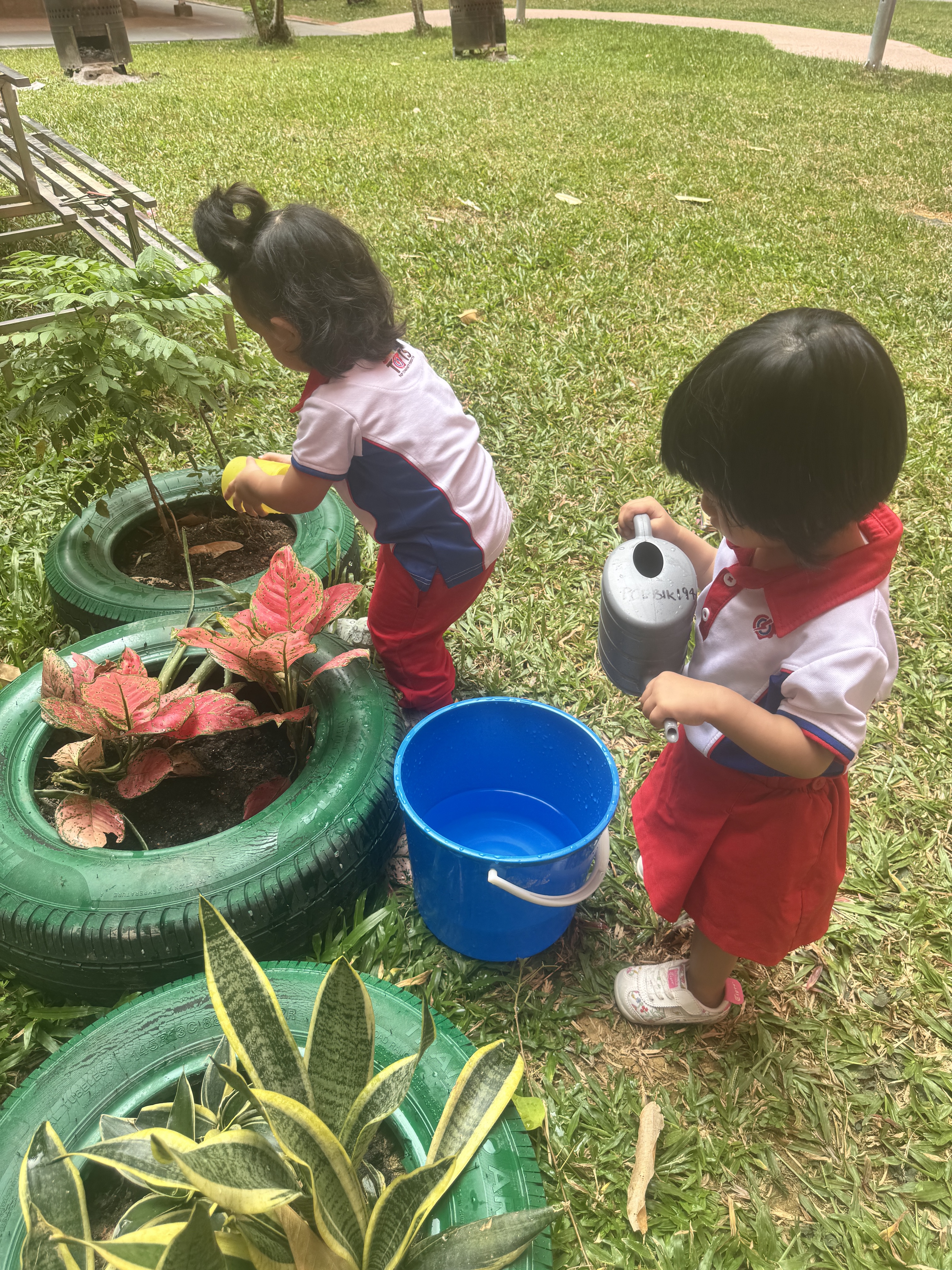 From Little Hands to Green Garden — photo 14