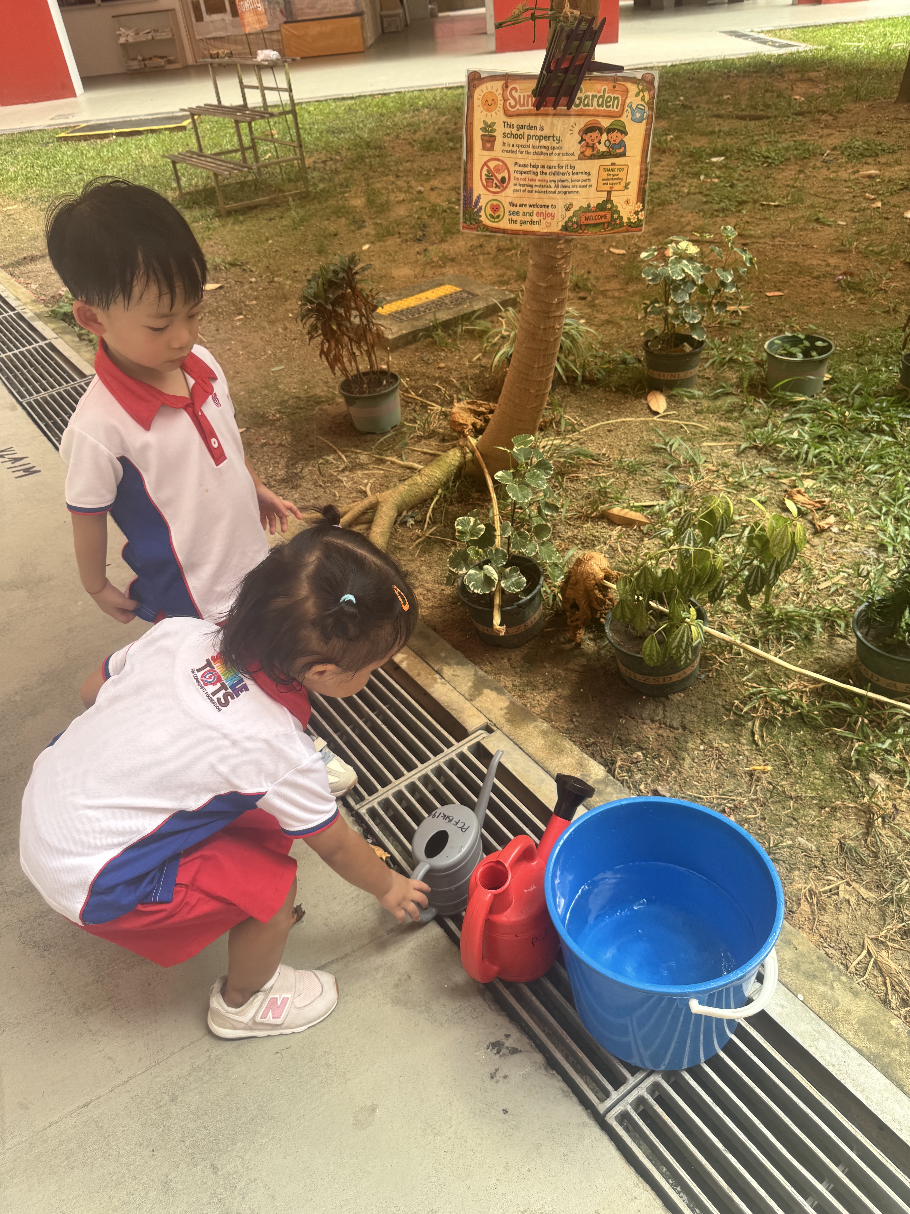 From Little Hands to Green Garden — photo 15