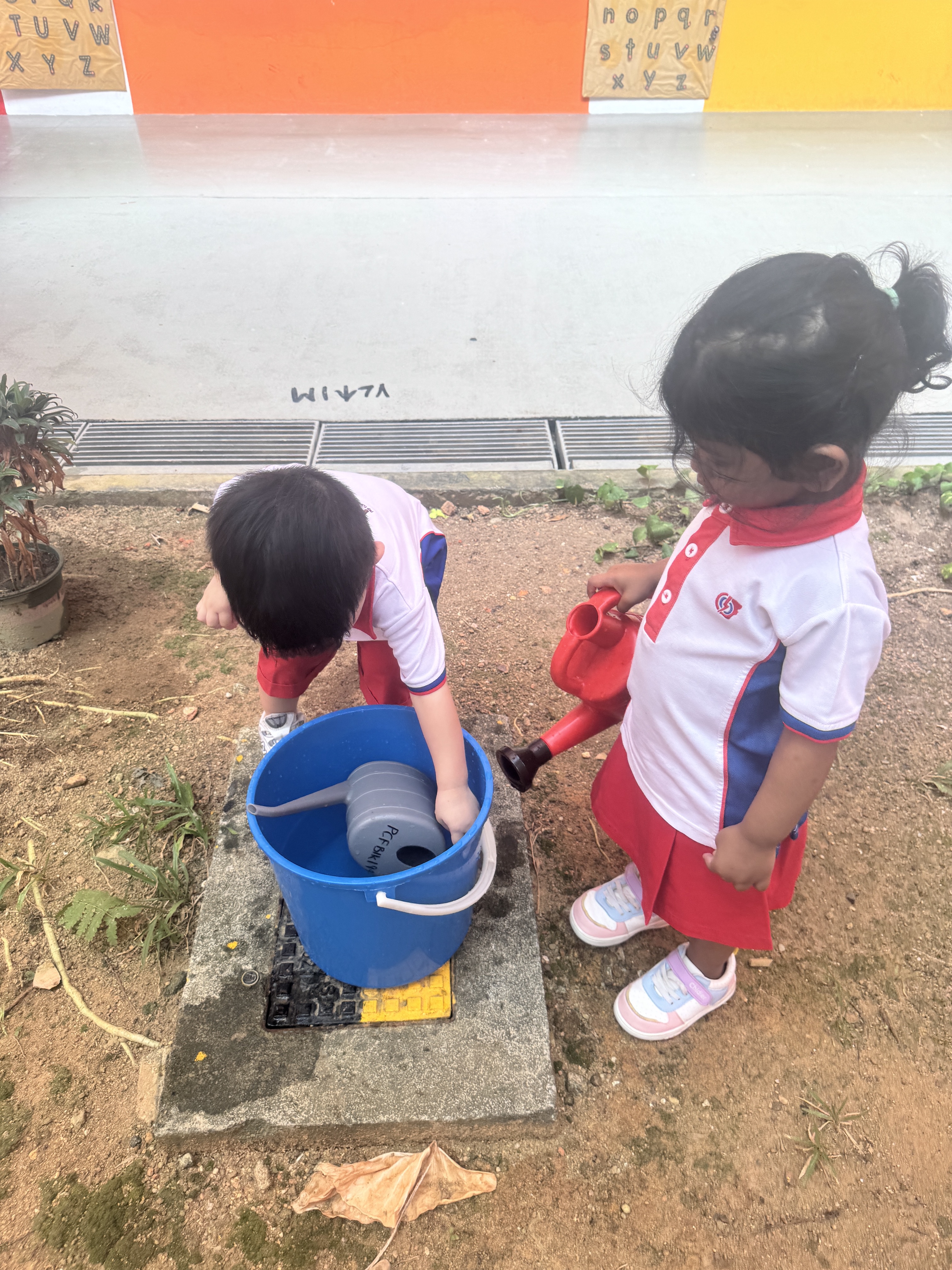 From Little Hands to Green Garden — photo 16