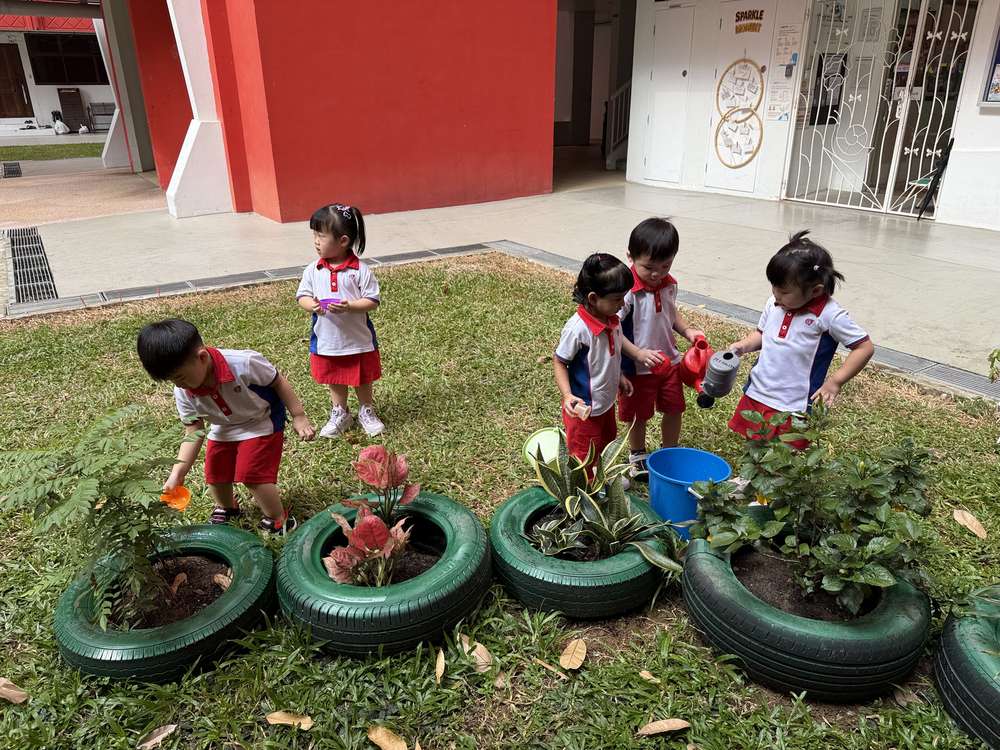 From Little Hands to Green Garden — photo 17