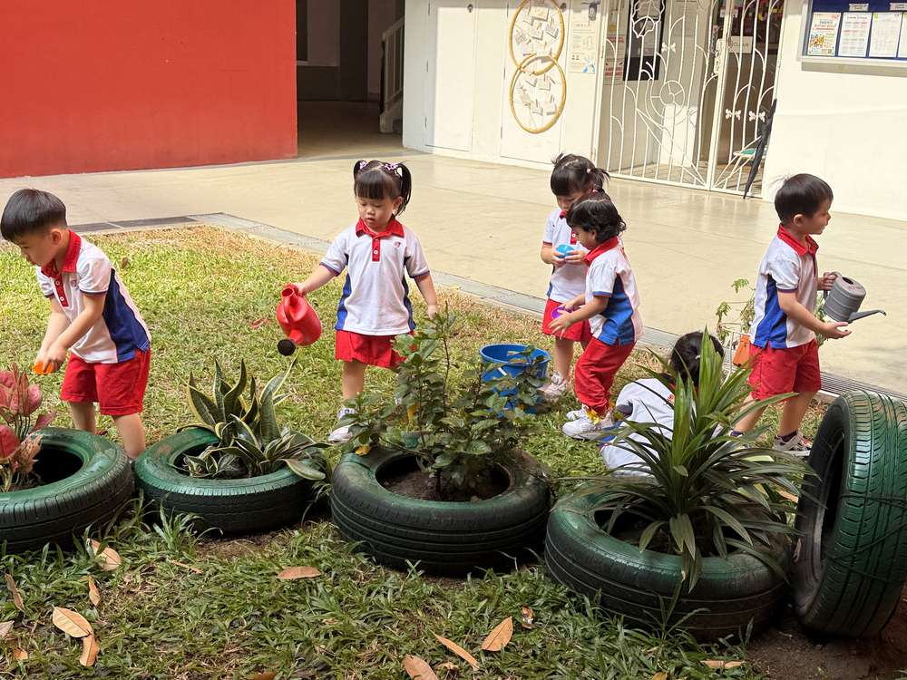 From Little Hands to Green Garden — photo 18