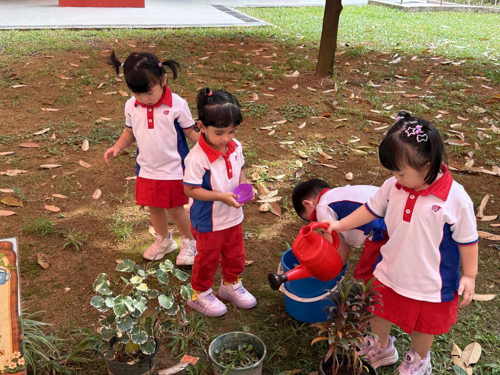 From Little Hands to Green Garden — photo 19