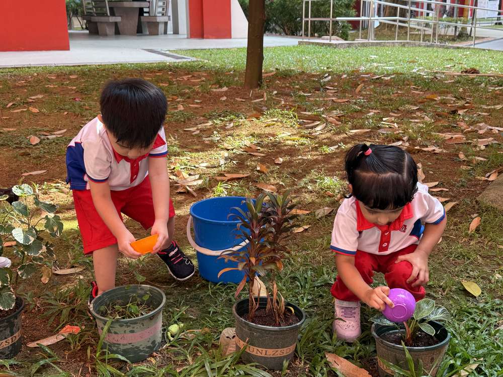From Little Hands to Green Garden — photo 20