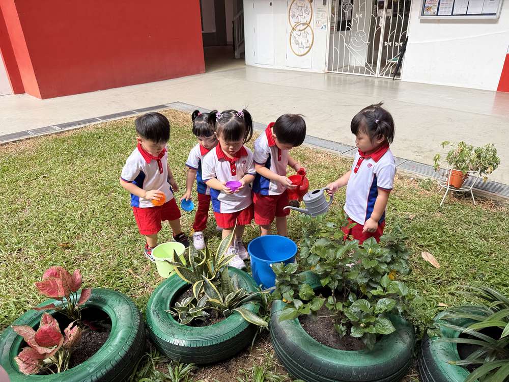 From Little Hands to Green Garden — photo 21