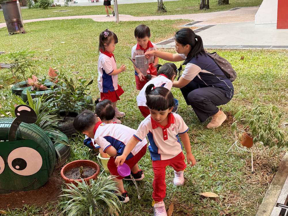 From Little Hands to Green Garden — photo 22