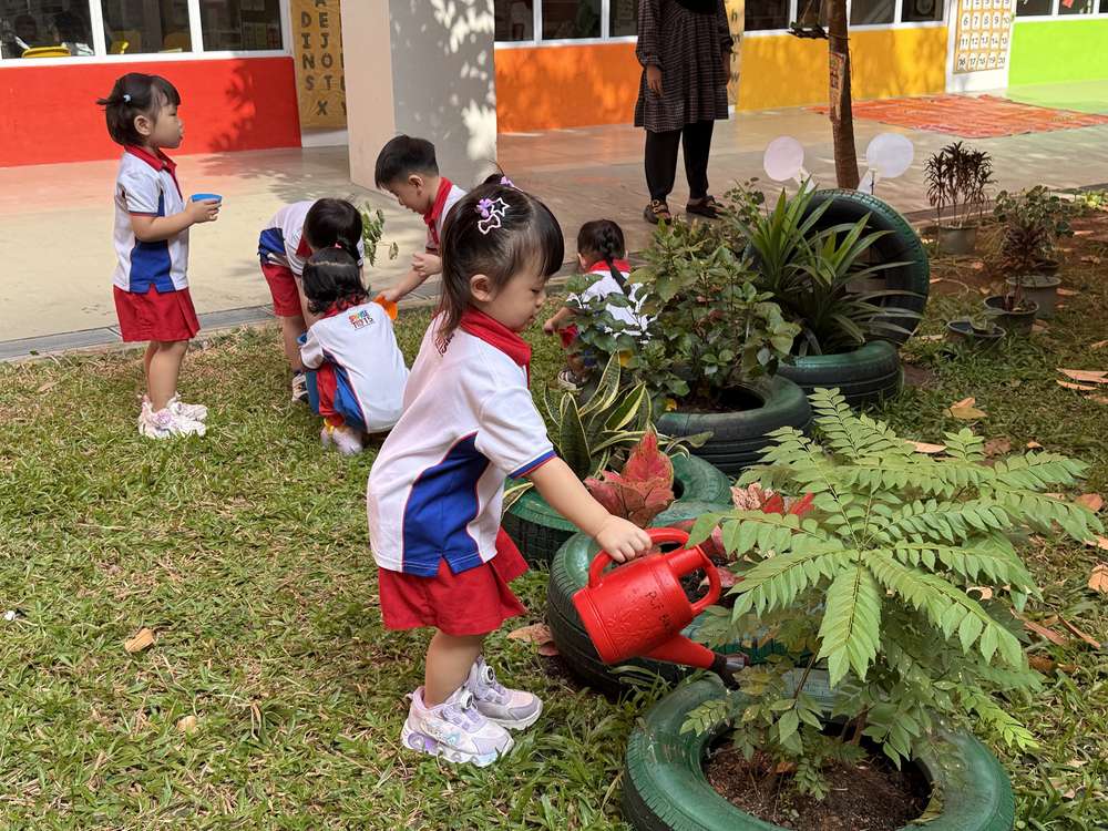 From Little Hands to Green Garden — photo 23