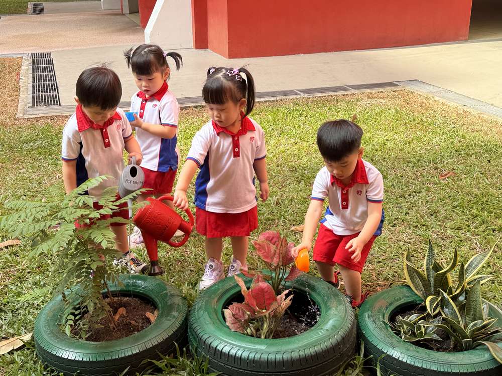 From Little Hands to Green Garden — photo 24