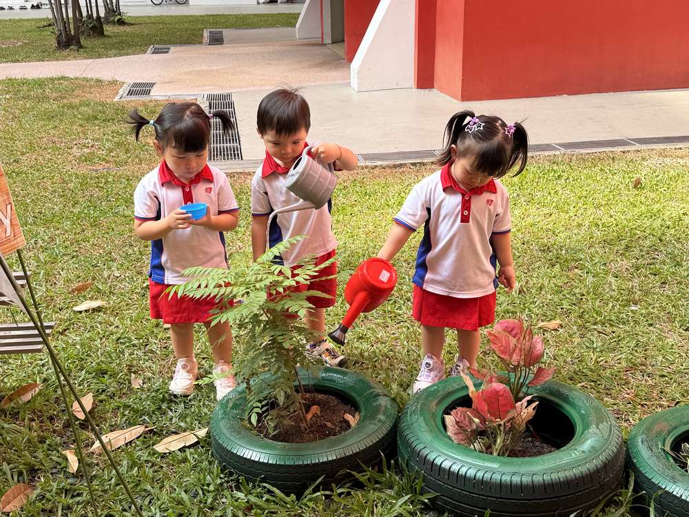 From Little Hands to Green Garden — photo 25