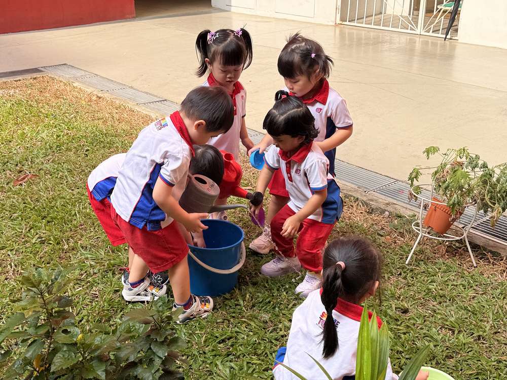 From Little Hands to Green Garden — photo 26