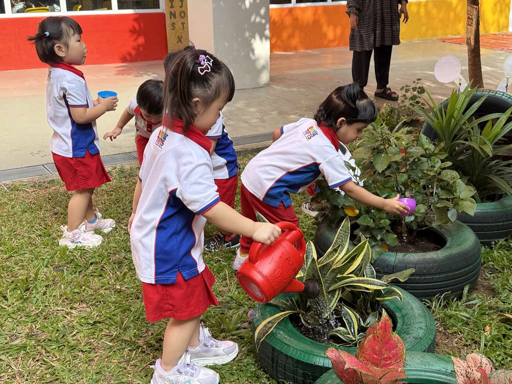 From Little Hands to Green Garden — photo 27